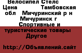 Велосипел Стелс 710 › Цена ­ 5 000 - Тамбовская обл., Мичуринский р-н, Мичуринск г. Спортивные и туристические товары » Другое   